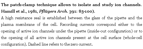 Text Box: The patch-clamp technique allows to isolate and study ion channels.       Hamill et al., 1981, Pfl�gers Arch. 391: 85-100).A high resistance seal is established between the glass of the pipette and the plasma membrane of the cell. Recording currents correspond either to the opening of active ion channels under the pipette (inside-out configuration) or to the opening of all active ion channels present at the cell surface (whole-cell configuration). Dashed line refers to the zero current.