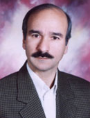 NaghibZade